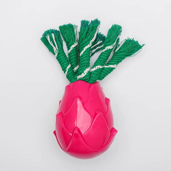 Игрушка для собак Rurri Питахайя