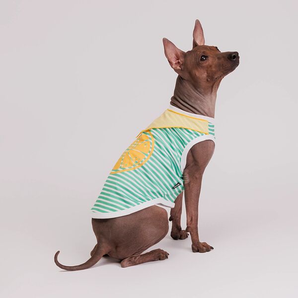 Футболка с банданой для собак Cool, L, зеленая