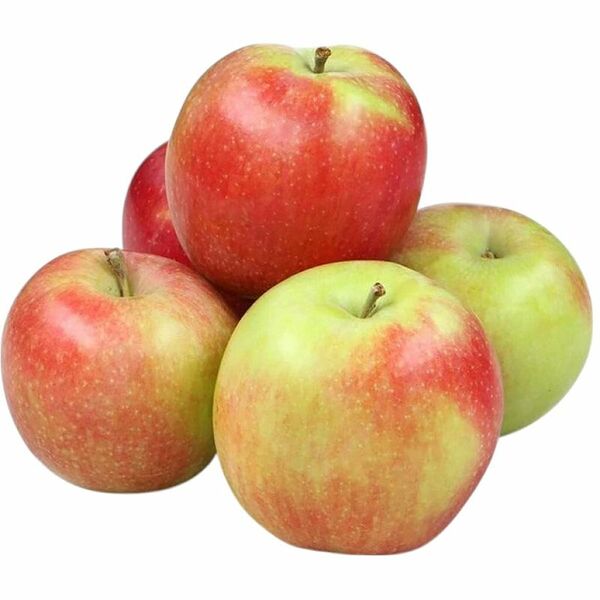 Яблоки новый урожай вес