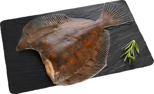 

Камбала Лента Fresh СП потр б/г охл вес до 500г