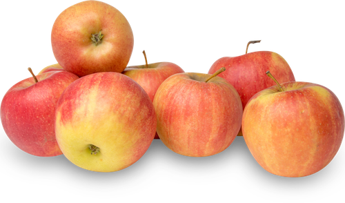 

Яблоки Дискавери, Молдавия, весовые