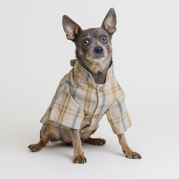 Рубашка Rurri кофейная с бантом L