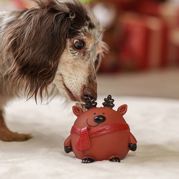 Игрушка для собак Мяч, 8 см