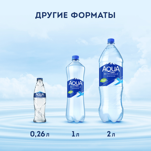 

Вода питьевая газированная Aqua Minerale 0.5 л ПЭТ