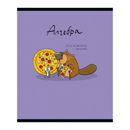 Тетрадь ПЗБМ Бобр Алгебра предметная 40 л клетка