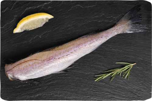 

Минтай Лента Fresh потрошеный без головы (из замороженного сырья), весовой