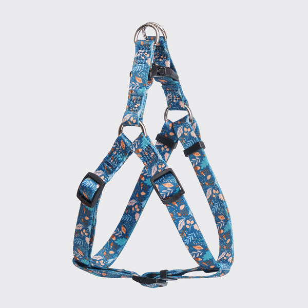 Шлейка Rungo Step-in ширина 1.5 см цветочный 45-63 см