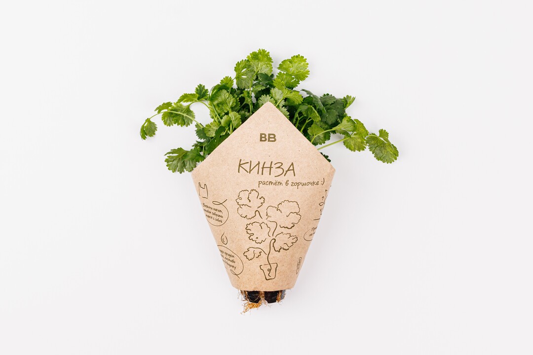 

Кинза в горшочке 15 г