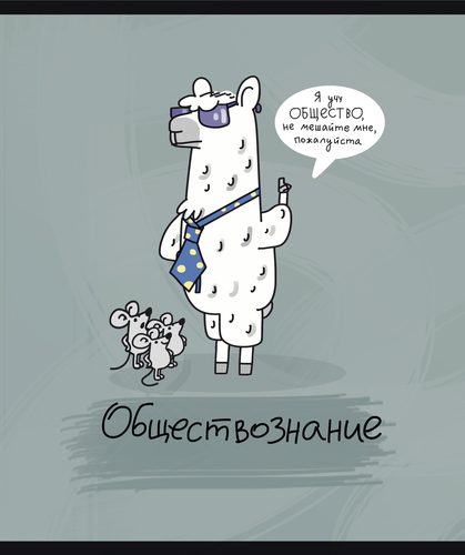 

Тетрадь общая ПЗБМ Зоометрия Обществознание 40 листов А5