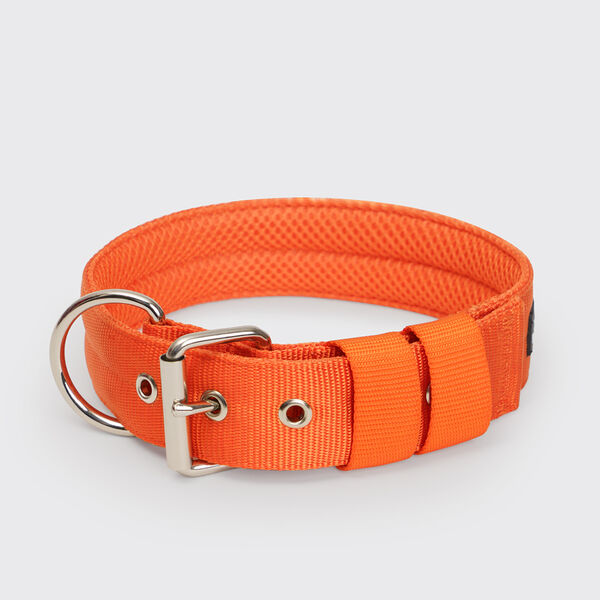 Ошейник Classic Air 4.5х48-60 см оранжевый