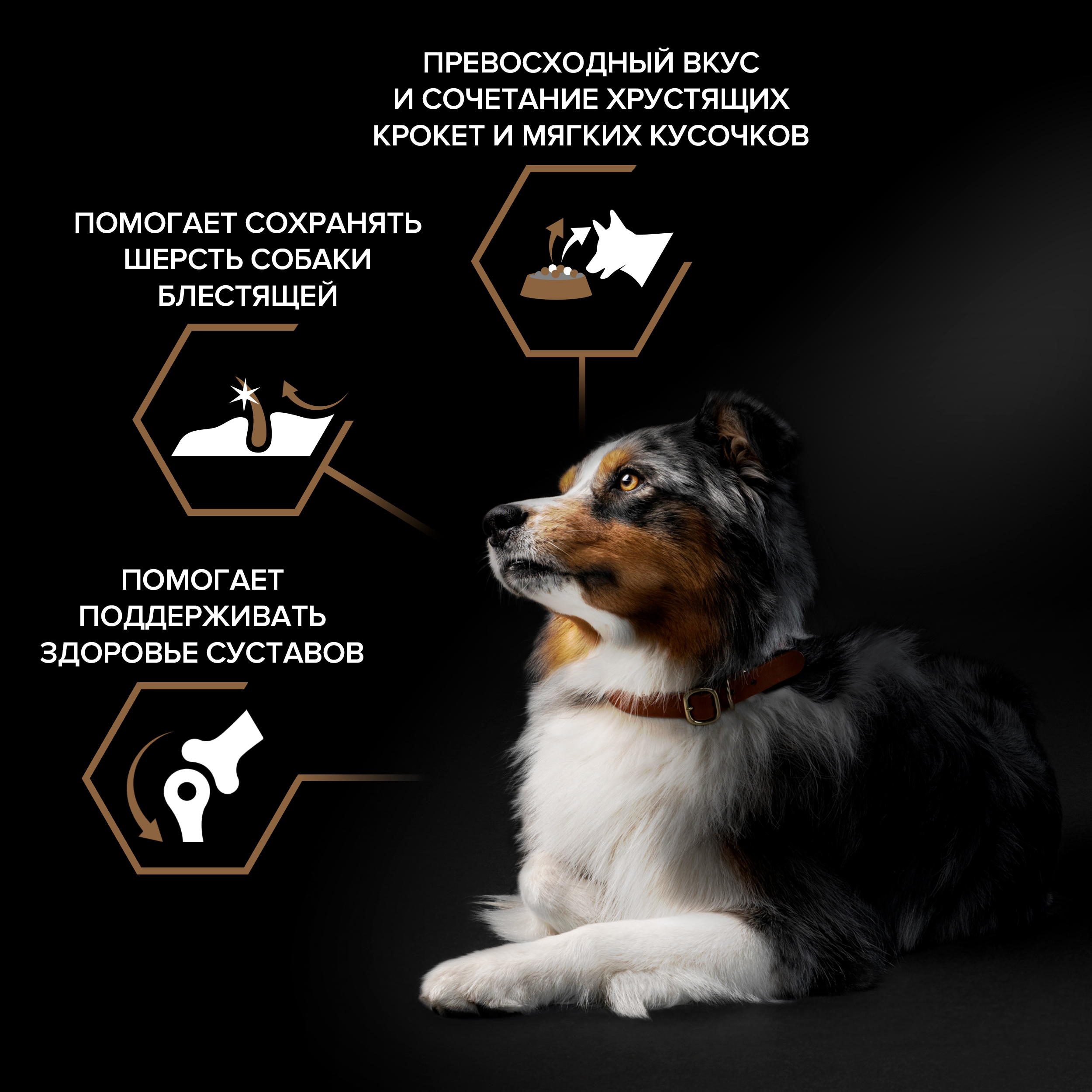 

Сухой корм Pro Plan Дуэт деликатесов (Duo Delice) для взрослых собак средних и крупных пород с двойной текстурой гранул с высоким содержанием говядины 2.5 кг