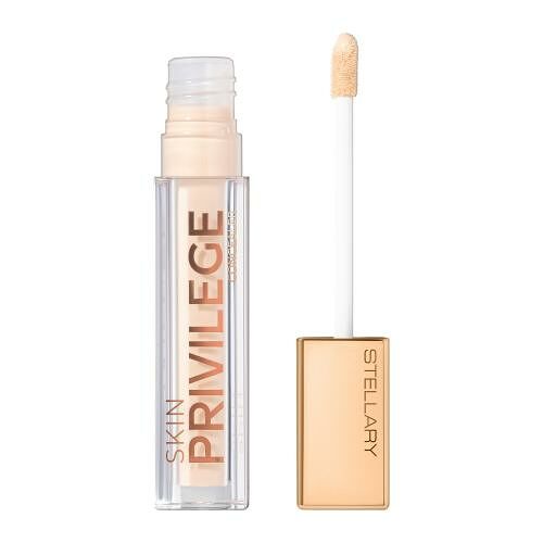 Консилер для лица Stellary Concealer Skin Privilege Увлажняющий тон 02, 5 г