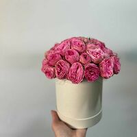 Изображение 3