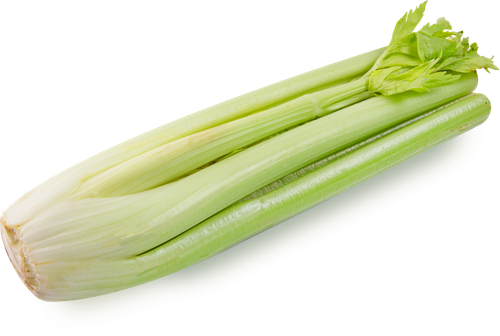 

Стебель сельдерея