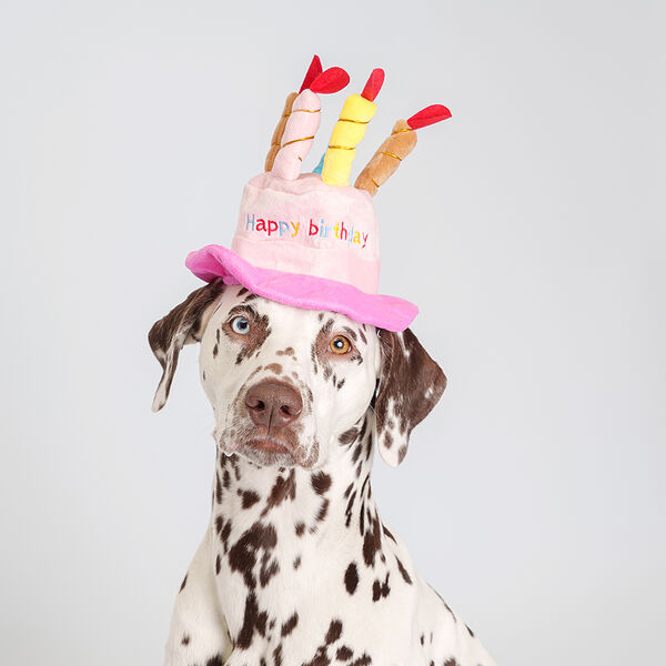 Шляпка Rurri Happy Birthday 18 см розовая