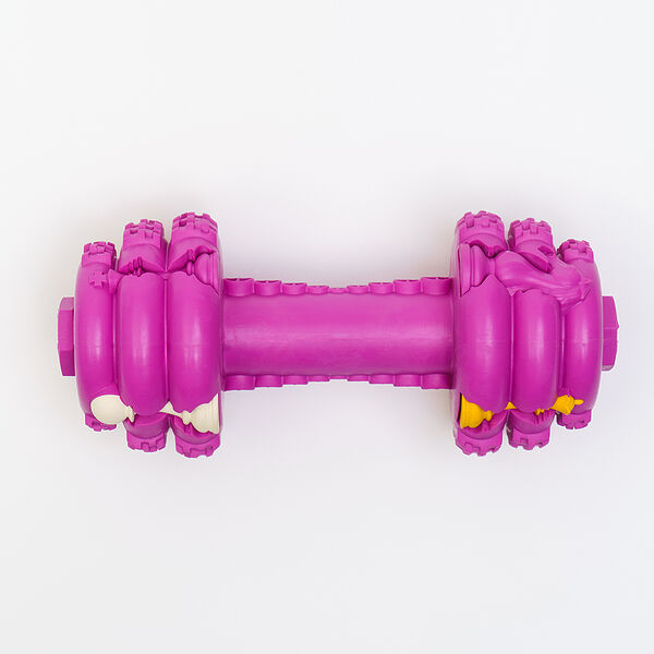 Игрушка для собак Rurri Гантель 15 см