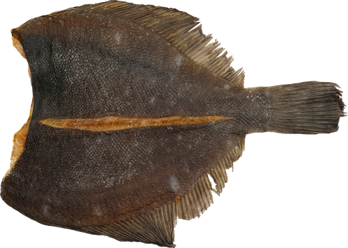 

Камбала вяленая Океан весовая