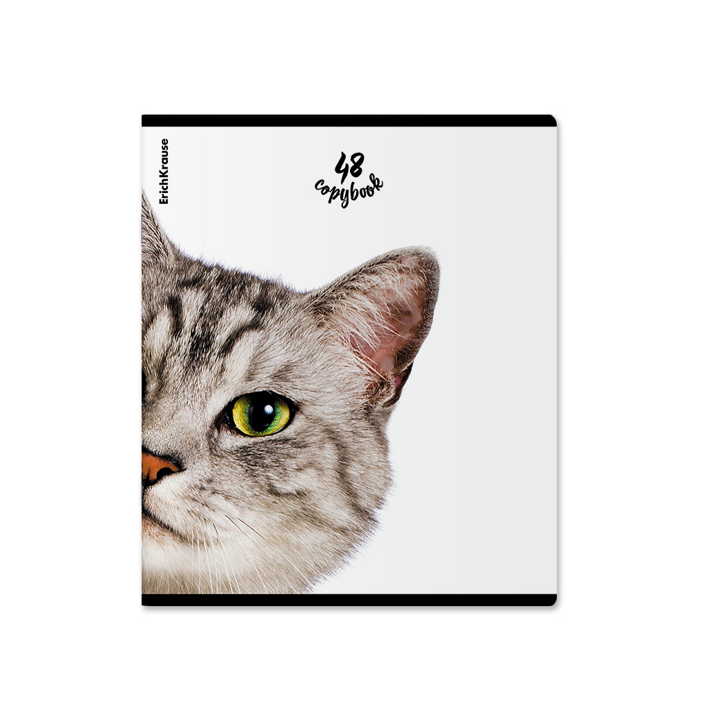 

Тетрадь общая ErichKrause Котики на скобе в клетку А5 48 л дизайн в ассортименте 1 шт