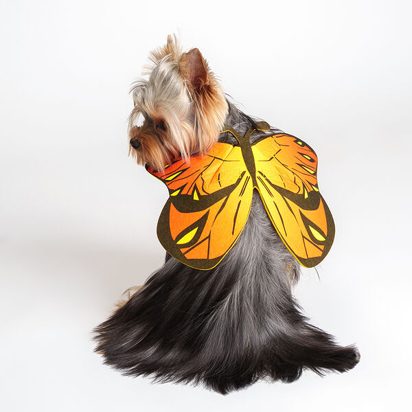 Крылья бабочки Rurri S желтые