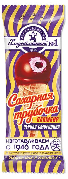 

Мороженое Ленинградский Хладокомбинат №1 рожок пломбир с черной смородиной в шоколадной глазури 70 г