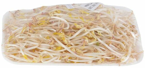 Проростки фасоли Маш