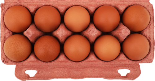 

Яйцо куриное Праксис С1 коричневое 10 шт.