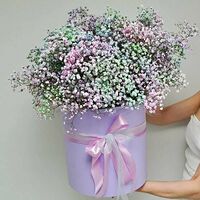 Изображение 3