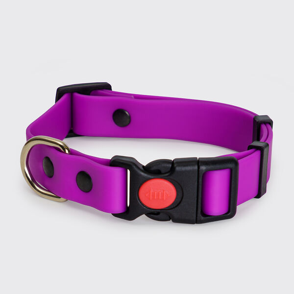 Ошейник для собак Rungo из биотана, обхват шеи 30-42 см, ширина 2 см, фиолетовый
