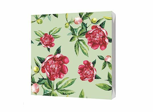 Салфетки бумажные трёхслойные «Королевский пион», размер 33*33 см, BGreen, 20 шт.