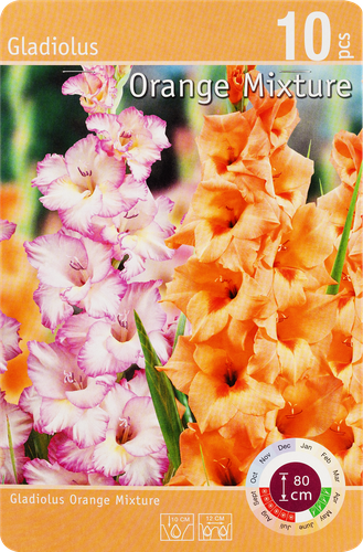 

Луковицы Гладиолус Оранжевый король микс 10/12, Арт. 133, 10шт
