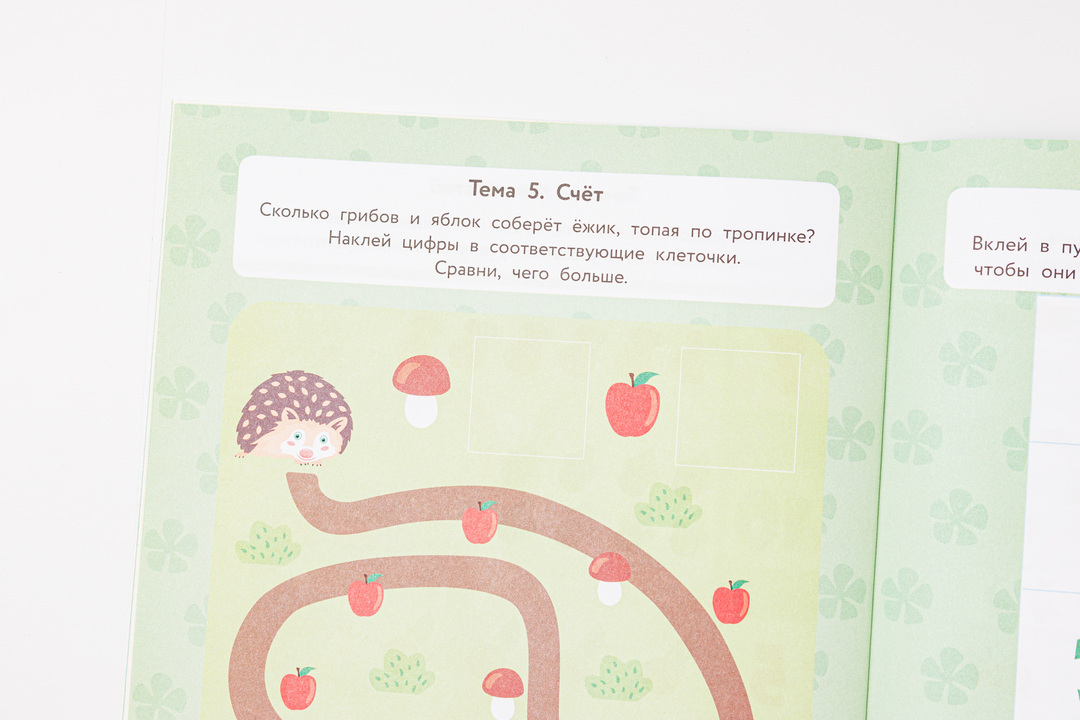 

Математика и ориентация в пространстве. IQ-наклейки. Григорович Д.А., Колосова Г.Р