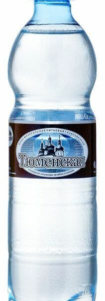 Вода минеральная Тюменская газированная, 600 мл