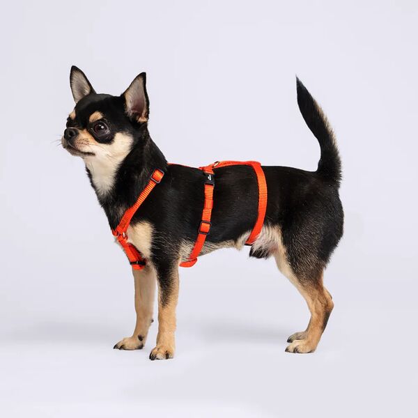 Шлейка Rungo Vario Soft Fix 10 ммx20-35 см папайя