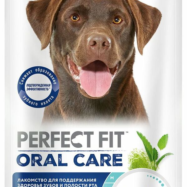 Лакомство Perfect Fit Для поддержания здоровья зубов и полости рта с говядиной и мятой для собак 130 г