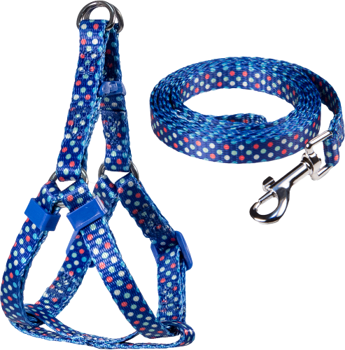 Набор для собак Triol шлейка + поводок в ассортименте
