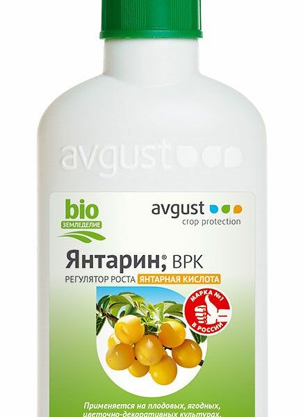 Регулятор роста Янтарин, ВРК Avgust