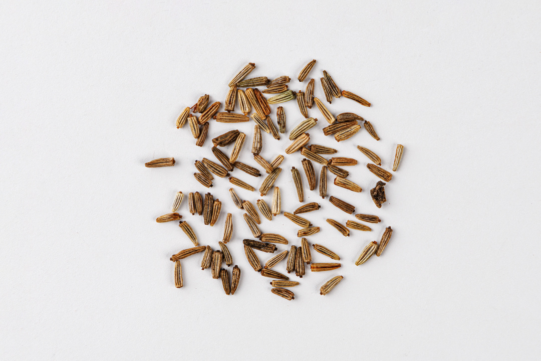 

Семена Нивяник Семена от Октябрины Ганичкиной Серебряная Принцесса 0.1 г