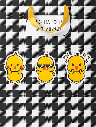 

Пакет подарочный City Home Trade 25.5х31.5х11 см 1 шт. в ассортименте