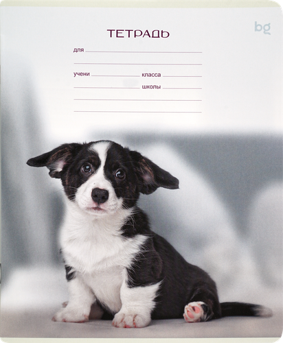 

Тетрадь BG Little animal 12 листов в клетку дизайн в ассортименте