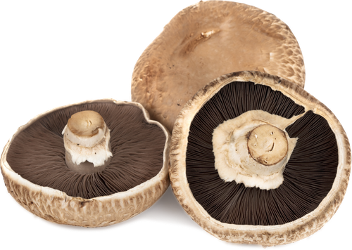 

Шампиньоны Portabella ТМ Национальная грибная компания, 280г