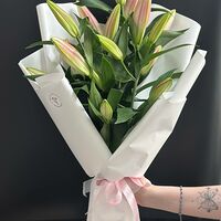 Изображение 3