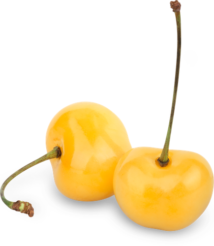 

Черешня желтая 500 г