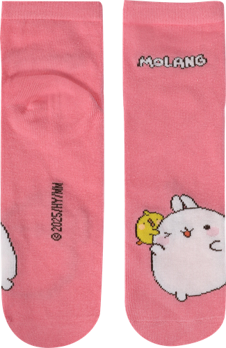 

Носки женские Molang р. 23-25 дизайн в ассортименте