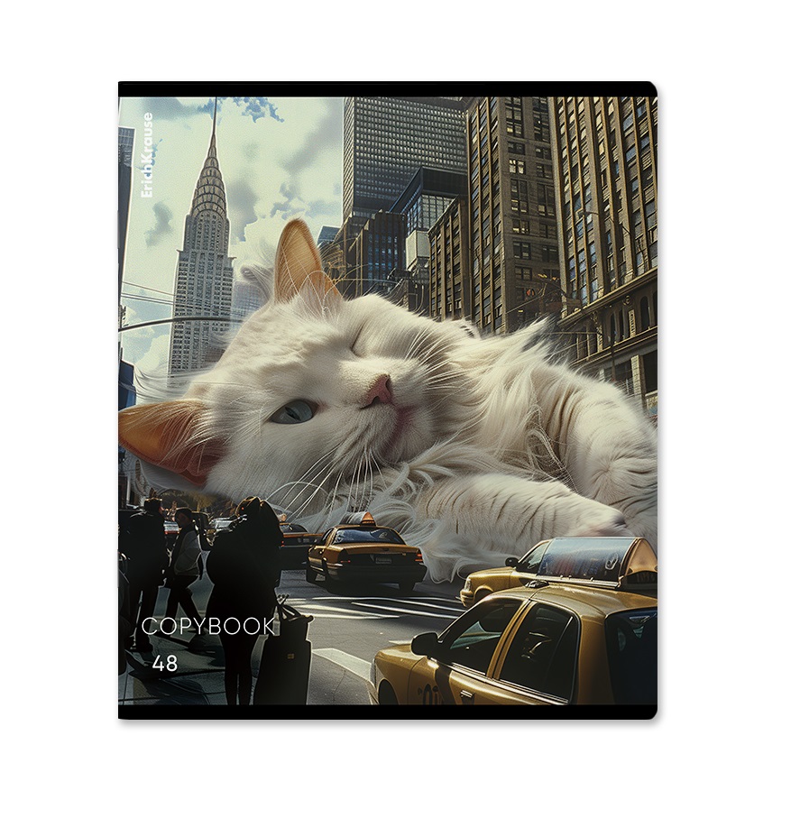 

Тетрадь ErichKrause Big City Cats общая ученическая 48 л 1 шт. дизайн в ассортименте