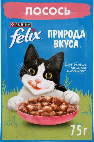 

Влажный корм Felix Природа вкуса для взрослых кошек с лососем в соусе 75 г