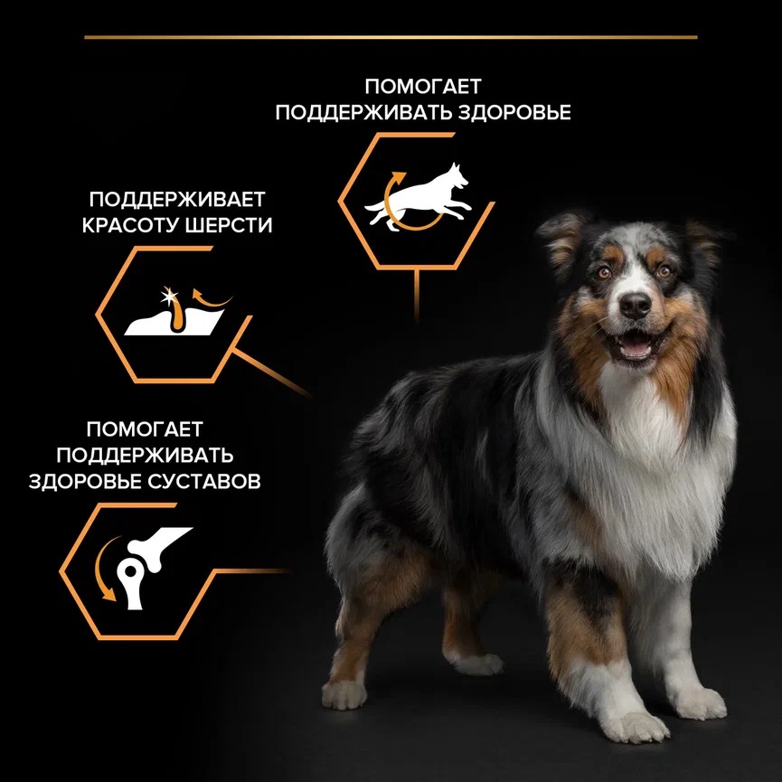 

Сухой корм Pro Plan Ежедневное питание (Everyday Nutrition) для взрослых собак средних пород с высоким содержанием курицы 3 кг