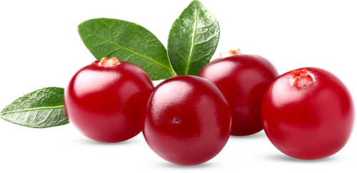 

Клюква свежая 250 г