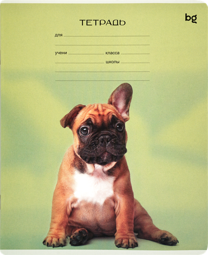 

Тетрадь BG Little animal 12 листов в клетку дизайн в ассортименте