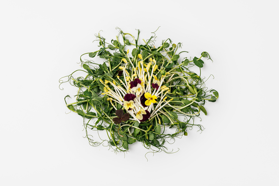 

Микс салатный Цветочное настроение 55 г