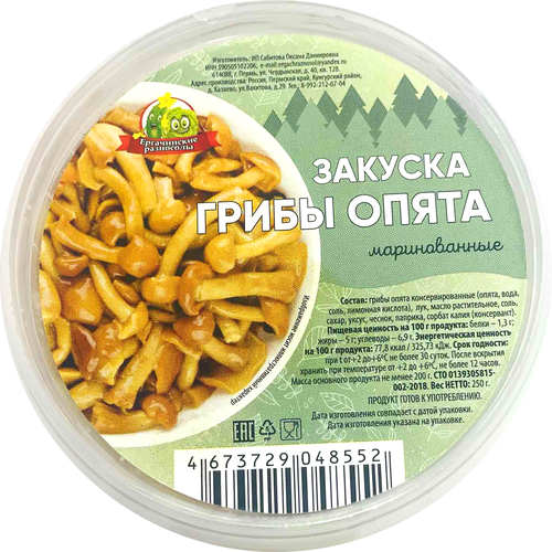 

Опята Ергачинские разносолы маринованные 250 г